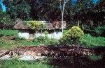 Hurricane Flattened House, Waileni
