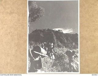 UBERI, NEW GUINEA. 1943-12-19. NATIVE CARRIERS TAKING SUPPLIES TO THE "FRONT LINE" ON THE KOKODA TRAIL IN THE OWEN STANLEY RANGES DURING THE FILMING OF THE PRODUCTION "RATS OF TOBRUK" BY CHAUVEL'S ..