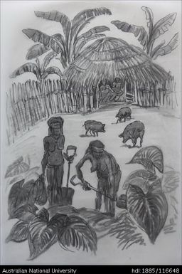 untitled [digging taro]