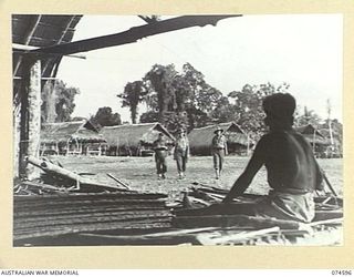 MALAMAL, NEW GUINEA. 1944-07-13. A NATIVE WEAVING SECTIONS OF SAGO PALM THATCH FOR NEW HUTS AT THE AUSTRALIAN NEW GUINEA ADMINISTRATIVE UNIT NATIVE LABOUR COMPOUND