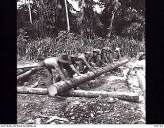 SCARLET BEACH, NEW GUINEA. 1943-10-30. TROOPS OF THE 2/3RD AUSTRALIAN FIELD COMPANY, ROYAL AUSTRALIAN ENGINEERS, MOVING A LOG INTO POSITION ON A CULVERT CONSTRUCTION JOB NORTH OF THE BUMI RIVER
