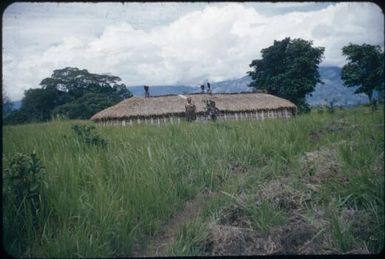 Newly-built man's house near Nondugl showing wall, roof structure and outer row of stakes, garden not yet dug : Wahgi Valley, Papua New Guinea, 1954 / Terence and Margaret Spencer