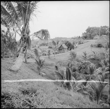 Grass huts at Nasara, Fiji, 1966 / Michael Terry