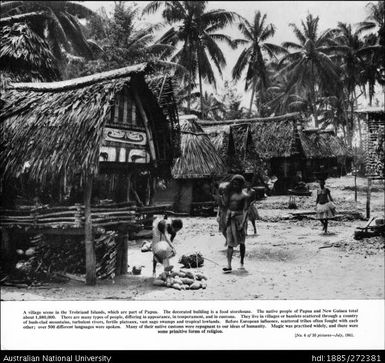 A village scene in the Trobriand Islands