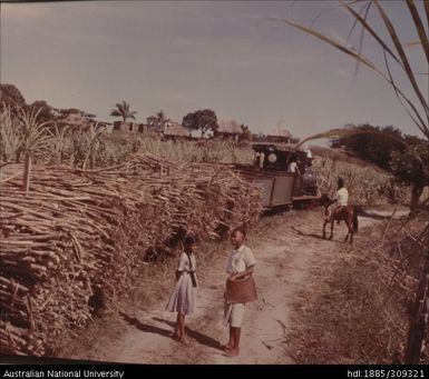 Fijian and Indian children beside Cane Train