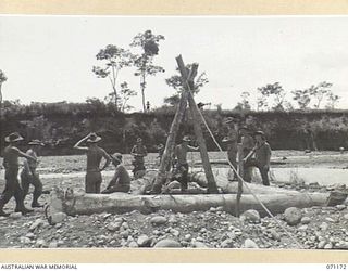 EVAPIA RIVER, NEW GUINEA, 1944-03-15. TROOPS FROM THE 2/4TH FIELD COMPANY, ROYAL AUSTRALIAN ENGINEERS RIG GEAR AND TACKLE TO ERECT THE LARGE MAIN SUPPORT FOR THE SUSPENSION BRIDGE ACROSS THE EVAPIA ..