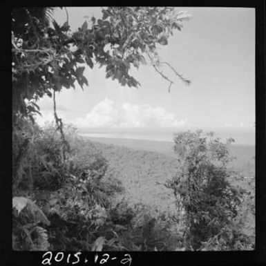 Bougainville Island