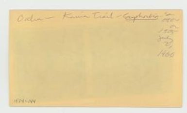 [Phyllanthus sandwicensis in Hawaii, envelope IE24-144]