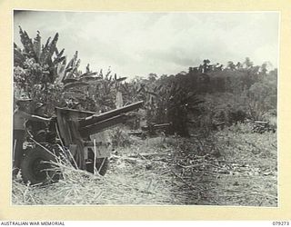 KAMANDRAN, NEW BRITAIN. 1945-02-18. TROOPS OF THE 2/14TH FIELD REGIMENT, SETTING UP THEIR GUNS OVERLOOKING HENRY REID BAY. IDENTIFIED PERSONNEL ARE:- SX11125 SERGEANT A.R. WHITE (1); SX10435 GUNNER ..