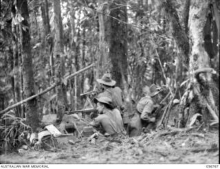 SALAMAUA AREA, NEW GUINEA. 1943-07-23. MEN OF "D" COMPANY, 2/5TH BATTALION COVERING TRACK FROM A CAPTURED JAPANESE WEAPON PIT, 50 YARDS FROM THE JAPANESE LINES. THEY ARE LEFT TO RIGHT:- VX13071 ..