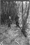 Pig festival, pig sacrifice, Tsembaga: in ancestral shrine, woman twists fibres into string for frame of above ground oven, small girl plays with large can