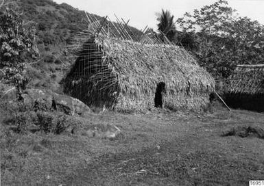 reeds, building, building, bamboo, photography, ph