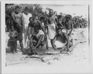 6 men and 4 children surround 1 shark league spirit on the beach. The head is processed. Clothing. Clothes. : A series with a photon. 4352: 1-7. See also photon. photon 4349-4351. "