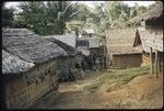 Houses and people in a village