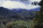 Kundiawa area of Eastern Highlands, 1964