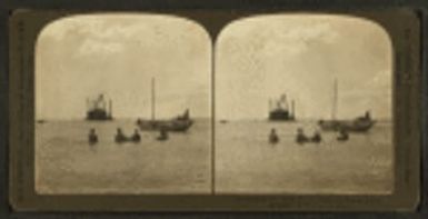 Pulling the nets, fishing in the Bay of Honolulu, Hawaiian Islands
