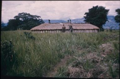 Nop-nop's house, Konumbuga clan, with bombas : Wahgi Valley, Papua New Guinea, 1954 / Terence and Margaret Spencer