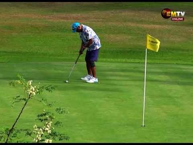 PRO GOLF DREAM