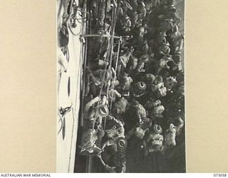 AT SEA, 1944-05-12. ARMY PERSONNEL DISEMBARKING FROM THE TROOPSHIP ORMISTON ON TO BARGES AT LAE AT THE CONCLUSION OF THE VOYAGE FROM PORT MORESBY