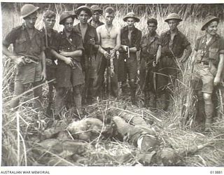 1942-12-17. PAPUA. FALL OF GONA. AUSTRALIANS WHO CLEANED OUT A POCKET OF JAPANESE IN THE FINAL ASSAULT ON GONA. THE FIVE DEAD JAPANESE IN THE FOREGROUND WERE KILLED BY A GRENADE THROWN BY AN ..