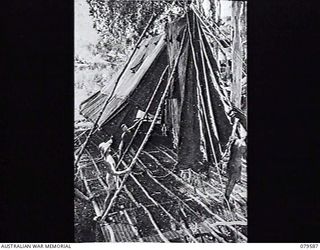 ORO BAY, NEW GUINEA. 1943-04. PERSONNEL OF 10TH FIELD AMBULANCE BUILDING A NEW WARD BY BRIGADING THREE GS DOUBLE MARQUEES TOGETHER AND MAKING A FLOOR OF ARC MESH