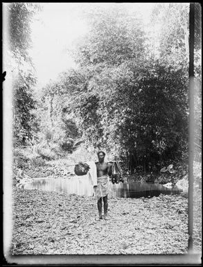 Man carrying a pole hung with produce beside a pond, Fiji, ca. 1920 / E.W. Searle