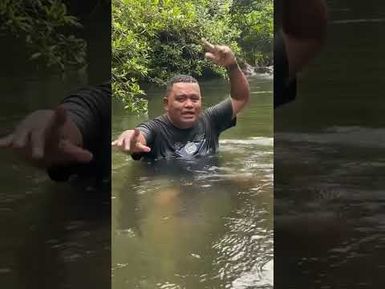 Nai Talanoa ni Ganivatu or the Peregrine Falcon -Lavo is talking about the Ga ni Vatu