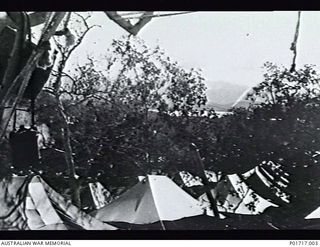 BOOTLESS BATTERY, PORT MORESBY, NEW GUINEA. C.1943. ELEVATED VIEW OF THE SISTERS' TENT LINES AT 2/5TH AUSTRALIAN GENERAL HOSPITAL