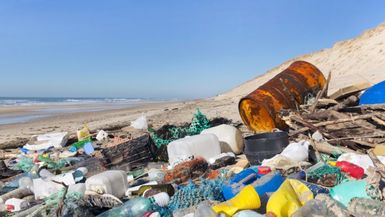 Vanuatu: Ban on plastic bags, straws and polystyrene containers comes into force