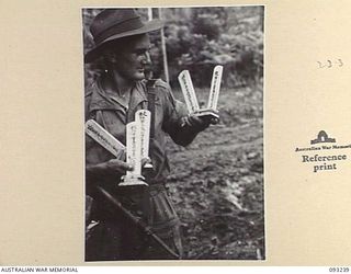 WEWAK AREA, NEW GUINEA, 1945-06-17. PTE R.E. BURLEY, 2/4 INFANTRY BATTALION, HOLDING SMALL WOODEN BATONS BEARING JAPANESE INSCRIPTIONS. THESE BATONS, PLUS 4,000 URNS, EACH CONTAINING THE ASHES OF A ..