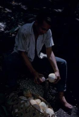 [Man peeling breadfruit in American Samoa]