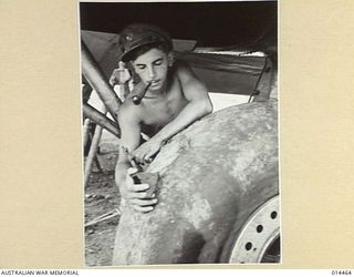 1943-03-22. NEW GUINEA. DESPITE BOTH ELEVATORS BEING BADLY DAMAGED BY ACK ACK FIRE AND SHRAPNEL HAVING TORN THE TYRES OF BOTH LANDING WHEELS TO THE CANVAS, A FLYING FORTRESS WAS FLOWN 400 MILES TO ..