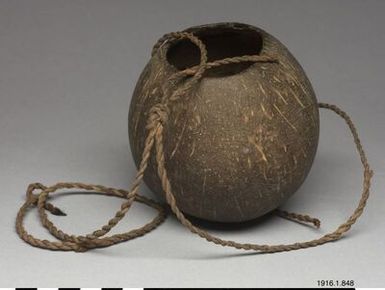 bowl, water bottle, vessel, water container, bowl