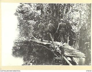 BOUGAINVILLE ISLAND, 1945-01-21. MEMBERS OF A PATROL FROM "D" COMPANY, 42ND INFANTRY BATTALION CROSSING BOYLAN BRIDGE AS THEY COMMENCE A PATROL THROUGH THE SWAMP AREA NEAR THE UNIT CAMP. THIS ..