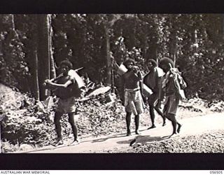 REINHOLD HIGHWAY, NEW GUINEA, 1943-08-31. NATIVE ROAD WORKERS COMING INTO CAMP WITH THEIR PACKS PREPARATORY TO GOING ON LEAVE