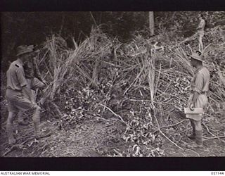 SOGERI VALLEY, NEW GUINEA. 1943-09-24. OFFICERS OF THE NEW GUINEA FORCE TRAINING SCHOOL INSPECTING A CAMOUFLAGED PILLBOX BEFORE USING IT TO TEST THE EFFECTIVENESS OF THE PROJECTOR INFANTRY TANK ..