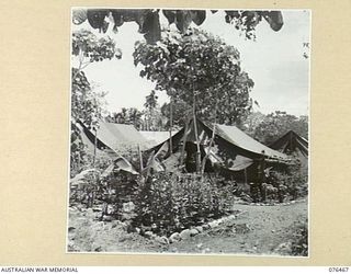 LAE, NEW GUINEA. 1944-09-29. "C" OFFICER'S MESS, HEADQUARTERS, NEW GUINEA FORCE. IDENTIFIED PERSONNEL IS:- VX108027 MAJOR C.A. GORDON, ASSISTANT DIRECTOR OF ORDNANCE SERVICES, NEW GUINEA FORCE