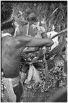 Pig festival, stake-planting, Tuguma: man builds elevated oven to cook sacrificial pig