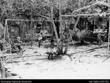 Swings in Edwards backyard