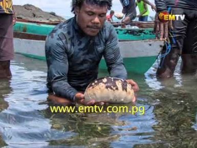 Concerns Raised on Sea Cucumbers