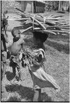 Children, girl (r) balances load of firewood on her head and carries bundle of greens, church in background