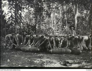 NADZAB, NEW GUINEA. C. 1944-02. BARE TO THE WAIST, ARMOURERS FROM NO. 24 (VULTEE VENGEANCE) SQUADRON RAAF, ROLLING OUT 500LB BOMBS FROM A JUNGLE DUMP, PREPARATORY TO LOADING THEM ON AIRCRAFT