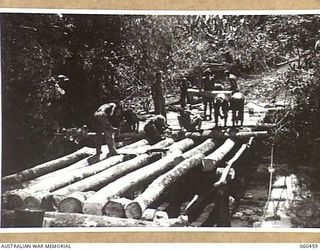 FINSCHHAFEN AREA, NEW GUINEA. 1943-11-09. COLOURED ENGINEERS OF THE 870TH UNITED STATES ENGINEER AVIATION BATTALION USING A POWER SAW TO CUT COCONUT PALM LOGS FOR THE DECKING OF THE NEW BRIDGE ..