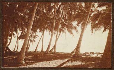 Foreshore. From the album: Samoa