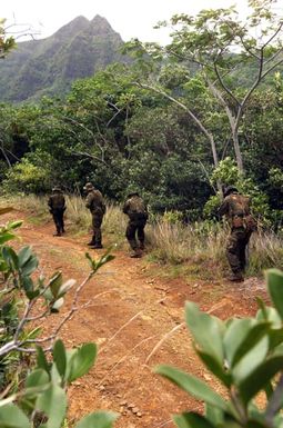 US Marine Corp (USMC) Marines of 3rd Battalion, 3rd Marine Regiment, Marine Corps Base Hawaii (MCBH), cautiously move along a roadside during a training exercise on the island of Oahu, Hawaii (HI)