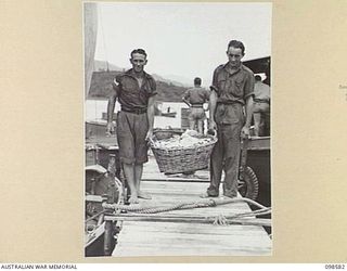 SALAMAUA, NEW GUINEA. 1945-11-03. CORPORAL N.L. BAULCH (1) AND PRIVATE D. O'CALLAGHAN (2) MEMBERS OF 2 MARINE FOOD SUPPLY PLATOON, LOADING FISH INTO A 40-FOOT BOAT FOR TRANSPORTATION TO LAE. THE ..