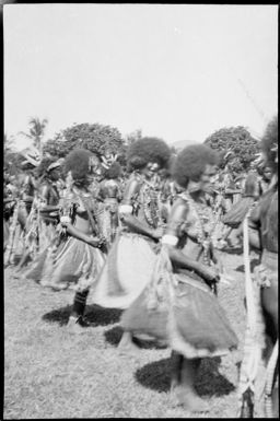 Row of Papuan women dancers, Papua, ca. 1923 / Sarah Chinnery