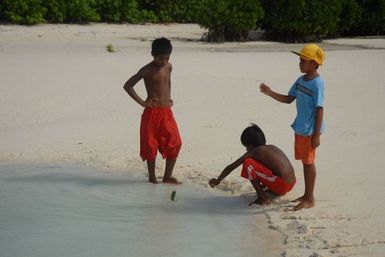 Joan's Kiribati - leaf boats