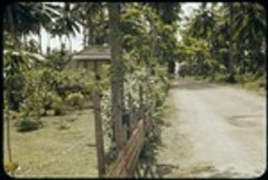 Dwelling and garden on the side of the road