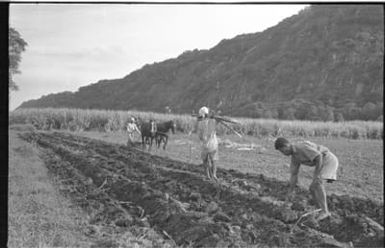 Fieldwork in Fiji